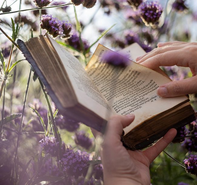 Книга среди цветов